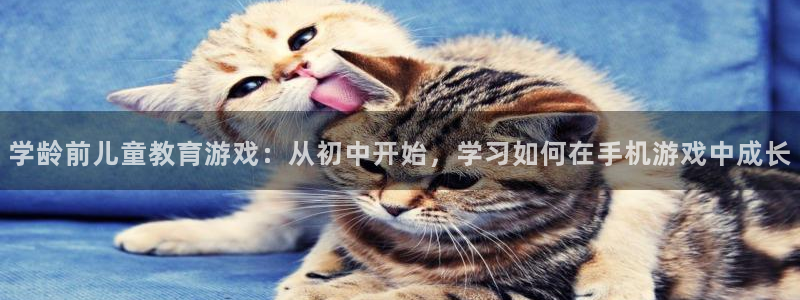 巅峰国际官网：学龄前儿童教育游戏：从初中开始，学习如何在手机