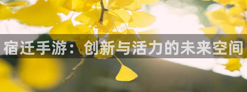 巅峰国际注册：宿迁手游：创新与活力的未来空间