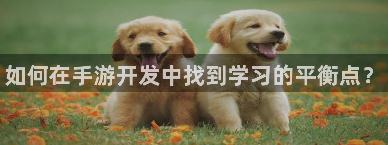 巅峰国际：如何在手游开发中找到学习的平衡点？