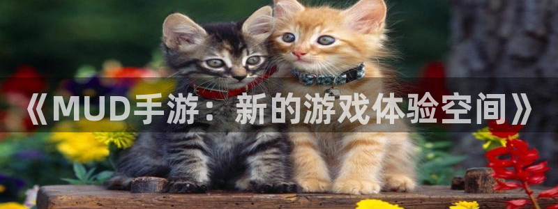 巅峰国际下载：《MUD手游：新的游戏体验空间》