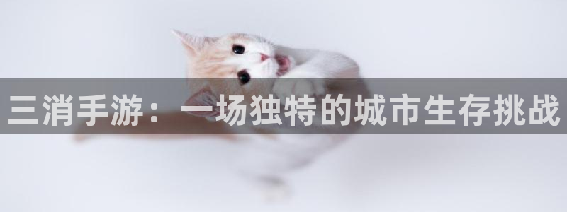 巅峰国际下载：三消手游：一场独特的城市生存挑战