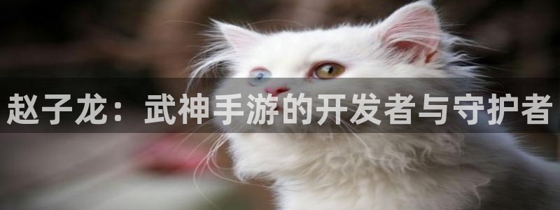 巅峰国际登陆：赵子龙：武神手游的开发者与守护者
