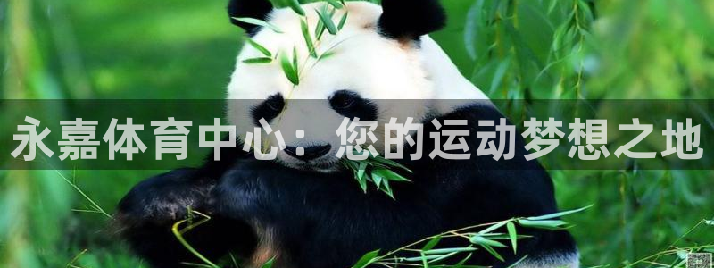 bbin视讯下