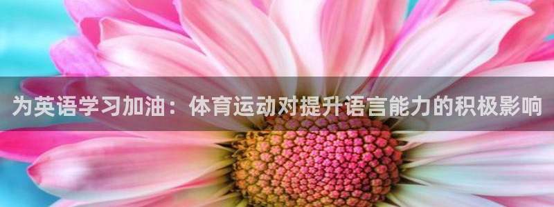 bbin视讯游戏平台
